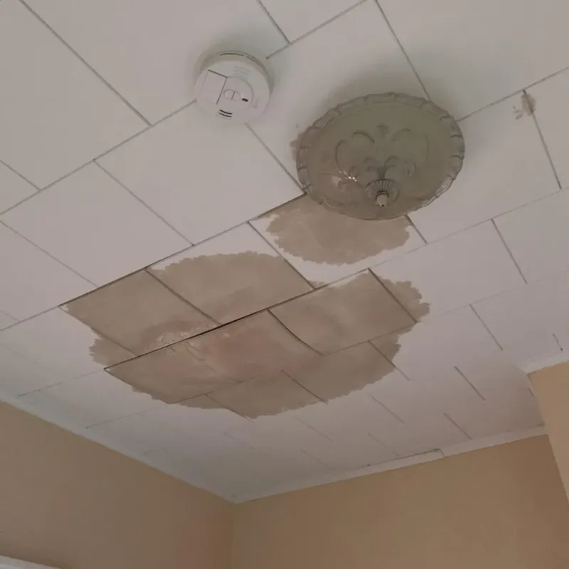 Ceiling Water Damage Repair in Harlan County, NE