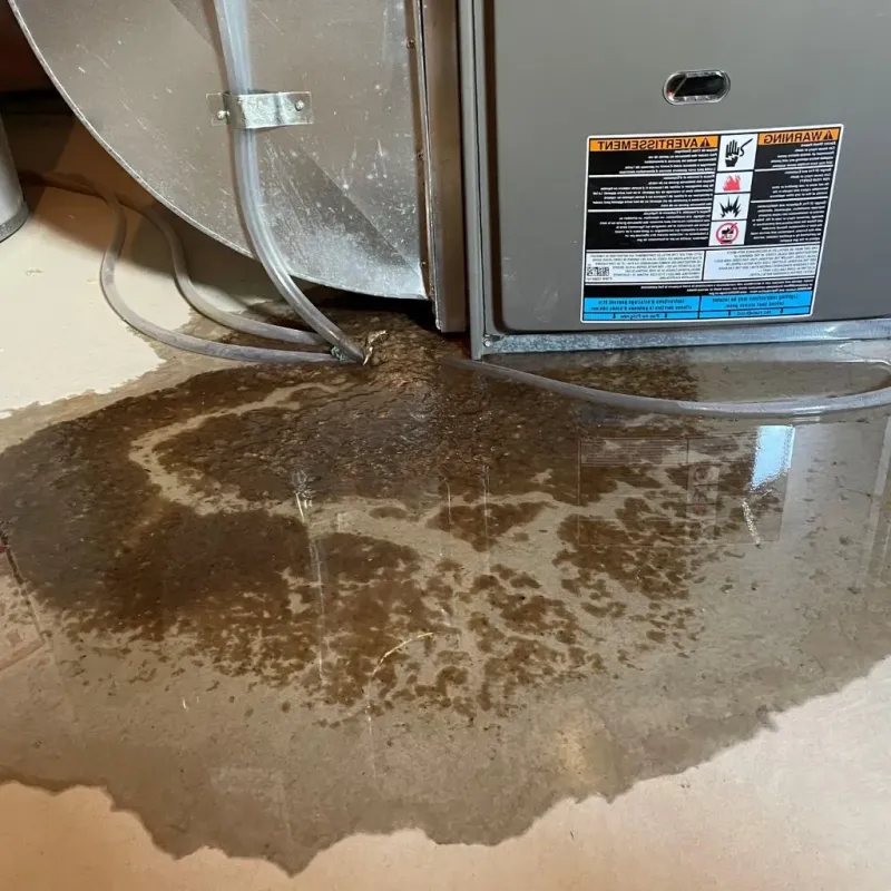 Pipe Burst and Leak Restoration in Harlan County, NE