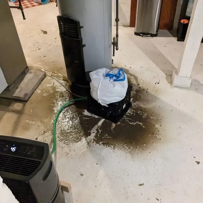 Sewage Backup Cleanup Service in Harlan County, NE